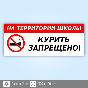 Табличка «На территории школы курить запрещено», B112 (пластик, 300х100 мм)