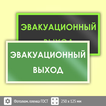 Знак B43 «Эвакуационный выход» (фотолюминесцентная пленка ГОСТ 34428-2018, 250х125 мм)
