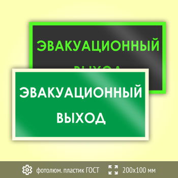 Знак B43 «Эвакуационный выход» (фотолюминесцентный пластик ГОСТ 34428-2018, 200х100 мм)
