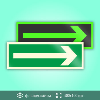 Знак «Направляющая стрелка», B45 (фотолюминесцентная пленка, 300х100 мм)